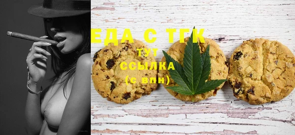 индика Тутаев