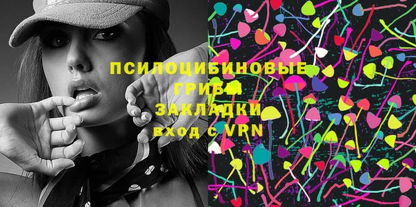 мдпв Волоколамск