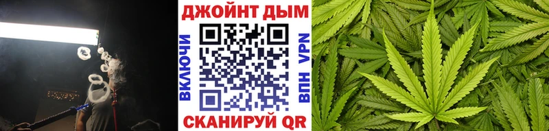 Купить закладки  Тюмень  Конопля сатива 
